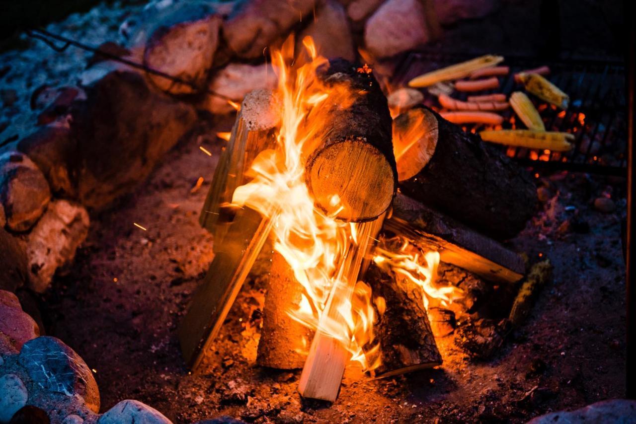 Luxury tent Glamping Forest Edge