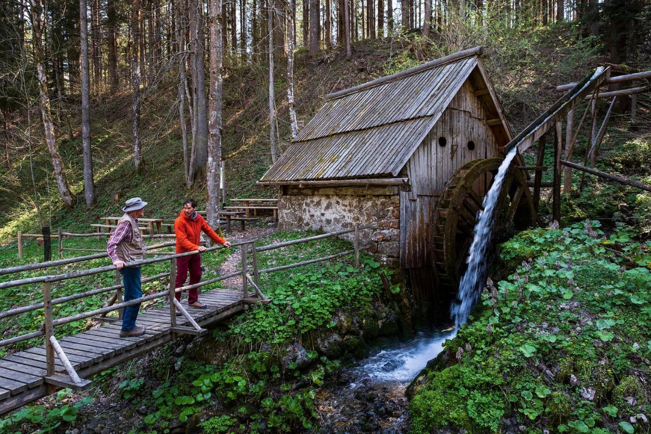 Glamping Forest Edge Luxuszelt